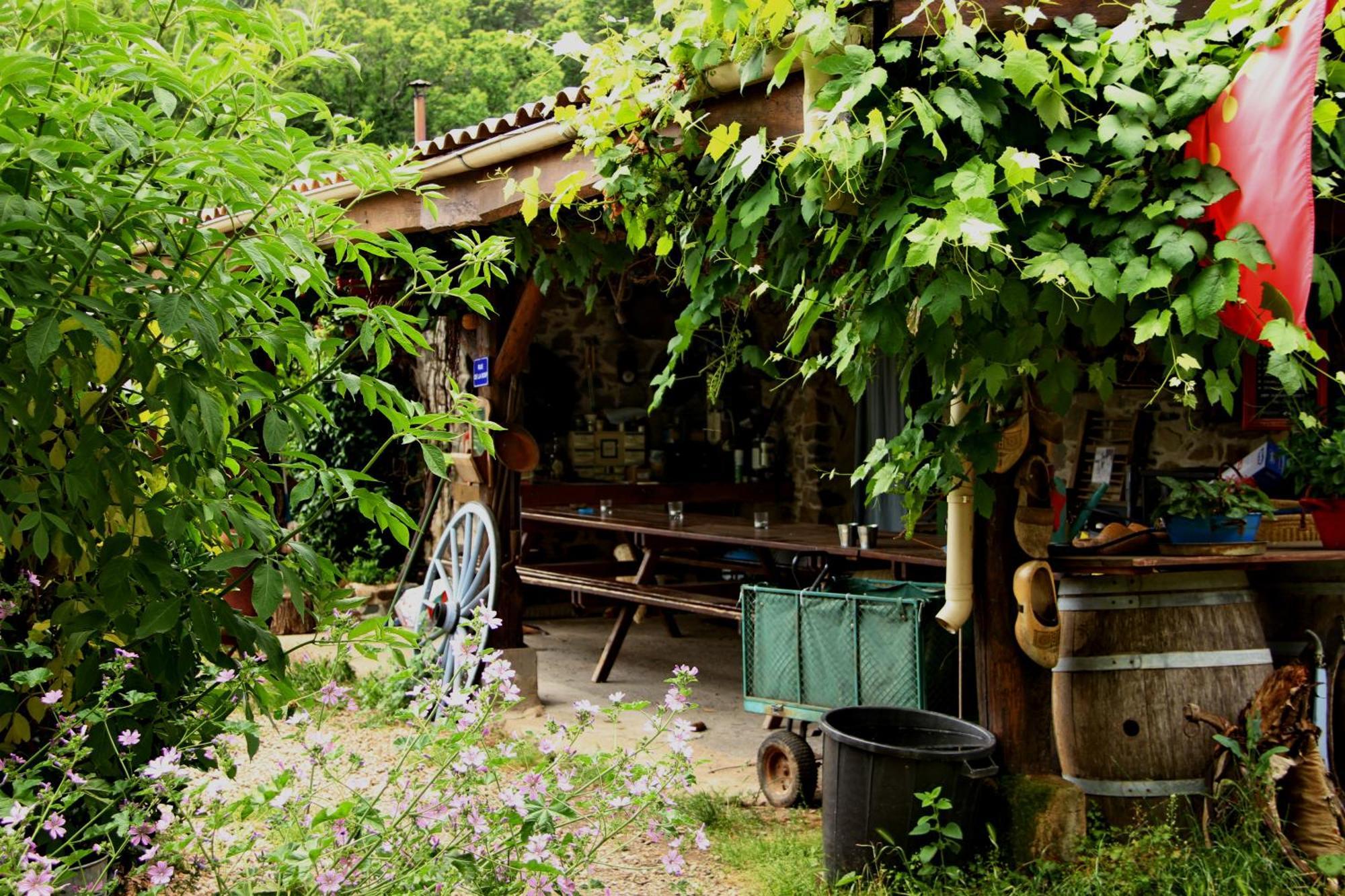 Saint-Pons-de-Thomieres Ferme Les Therondels מראה חיצוני תמונה